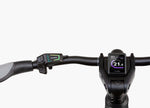 Riese & Muller Nevo4 EBike, Bosch Smart System | Electric Bikes Brisbane